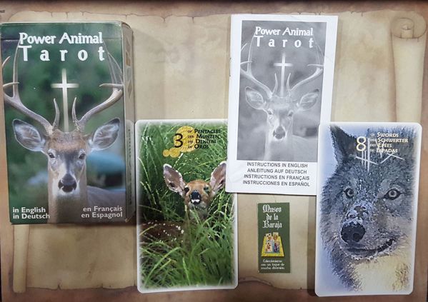 Imagen de Tarot del animal de la energía