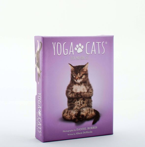 Imagen de Yoga Cats Deck & Book Set